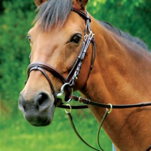 Celtic Equine Classic Running Martingale - Horse Mad Store