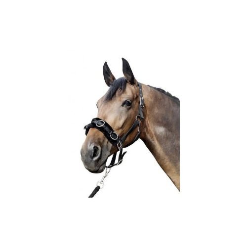 Lunge Cavesson With Plush Padding - Horse Mad Store