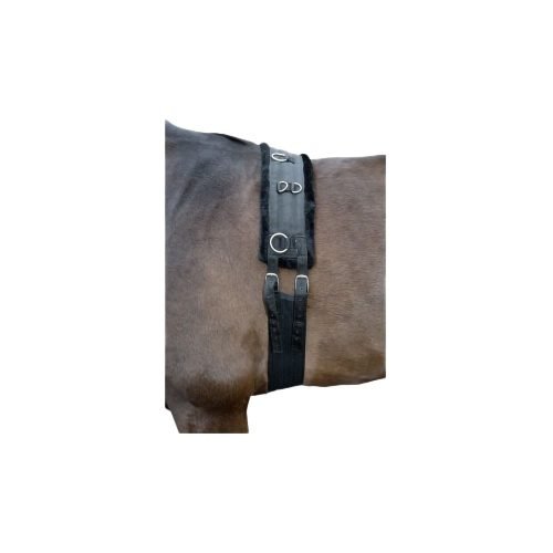 Lunge Roller Teddy - Horse Mad Store