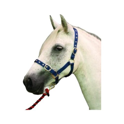 Nylon Headcollar - Horse Mad Store