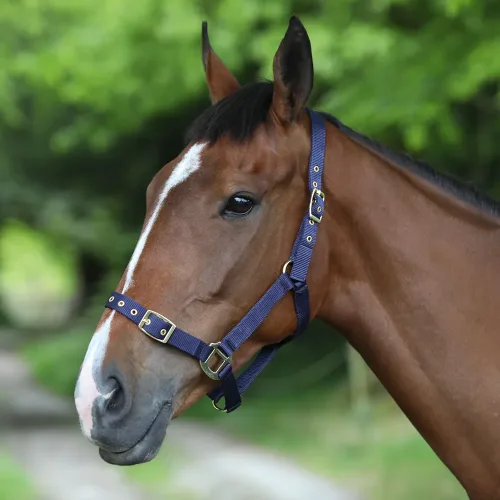 Nylon Headcollar - Horse Mad Store