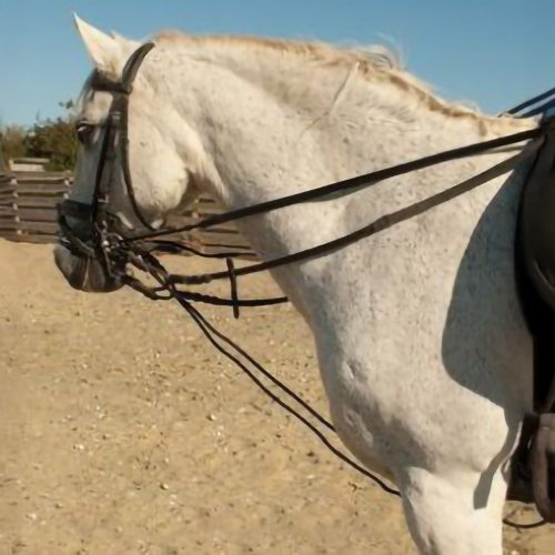 Rhinegold Leather Draw Reins With Rope Insert - Horse Mad Store