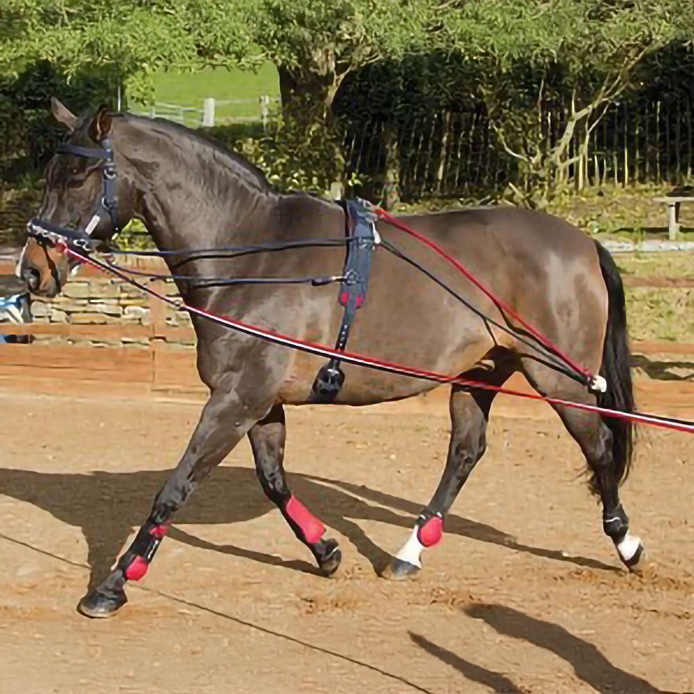 Rhinegold Training System & Roller Set - Horse Mad Store