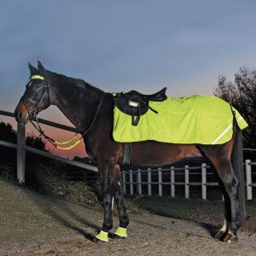 Waldhausen Reflex Water Proof Exercise Sheet - Horse Mad Store