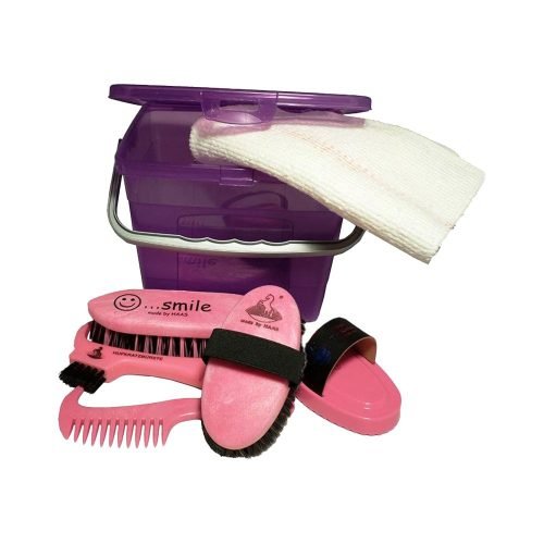 Haas Tinderbox Kids Grooming Box Purple / Pink - Horse Mad Store
