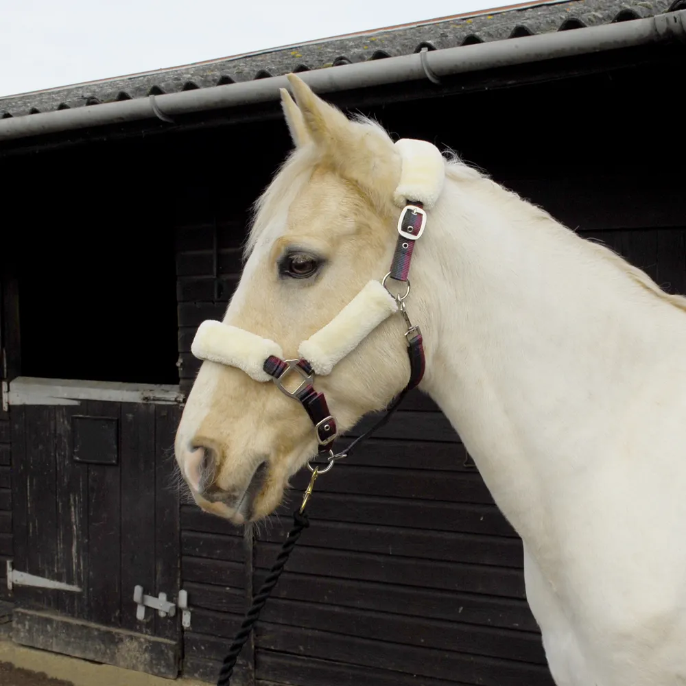 Fur Lined Nylon Headcollar - Horse Mad Store