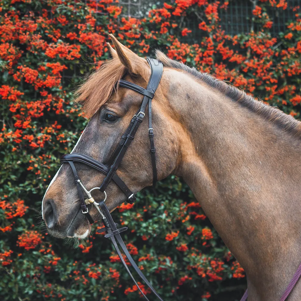 Mackey Legends Athena Bridle - Horse Mad Store
