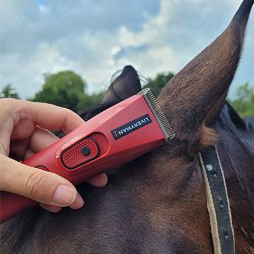 Liveryman Nova Trimmer - Horse Mad Store