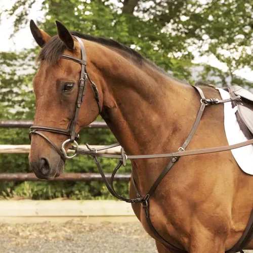Mackey Classic Hunting Breastplate - Horse Mad Store