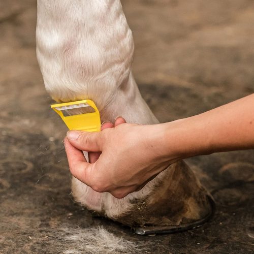 Smart Grooming Equi Shave - Horse Mad Store