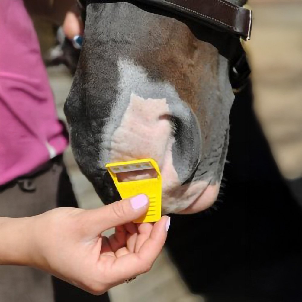 Smart Grooming Equi Shave - Horse Mad Store