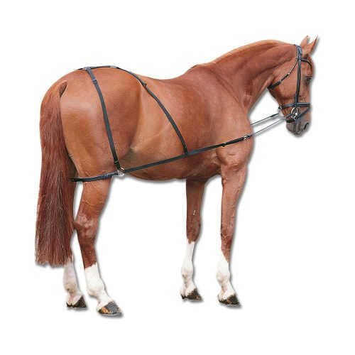 Combi Trainer - Horse Mad Store
