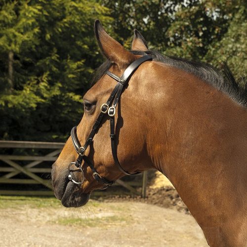 Classic English Leather In-Hand Bridle - Horse Mad Store