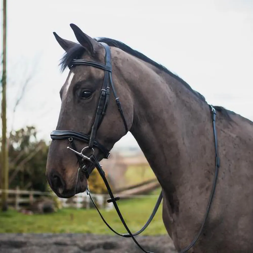 Mackey Legend Apollo Bridle - Horse Mad Store