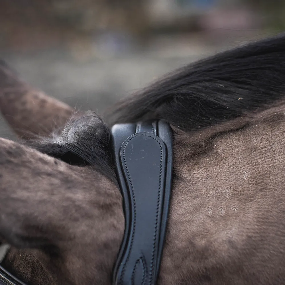 Mackey Legend Apollo Bridle - Horse Mad Store