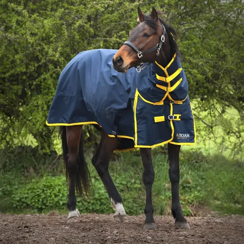 TROJAN 200 Turnout Combo Rug - Horse Mad Store