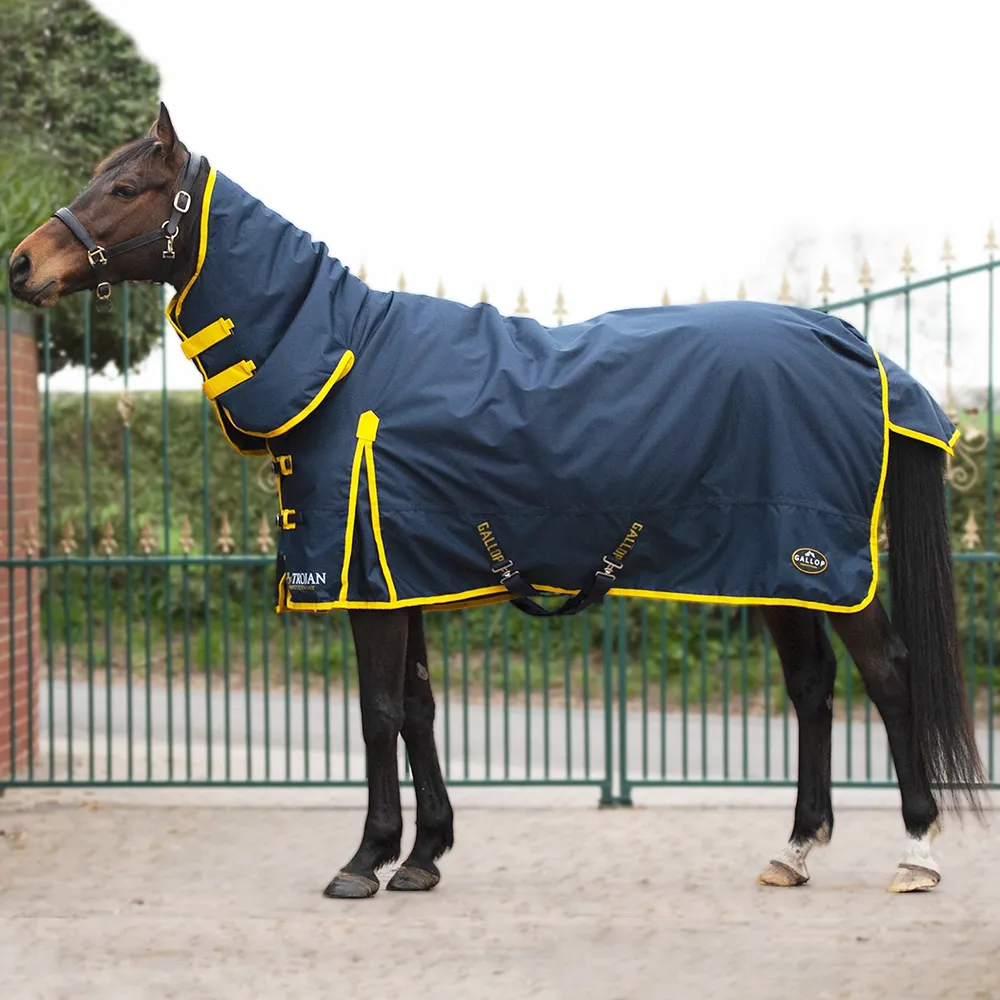 TROJAN 200 Turnout Combo Rug - Horse Mad Store