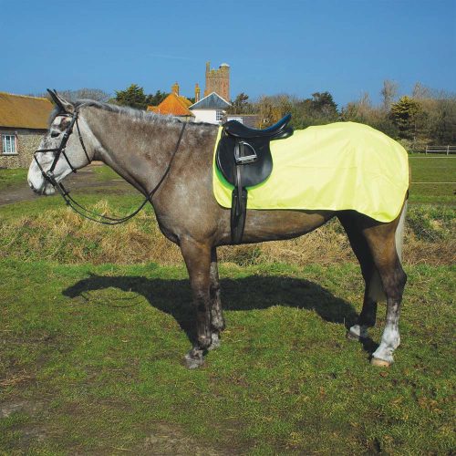 Rhinegold 3/4 Ride-On Rug Hi Viz - Horse Mad Store