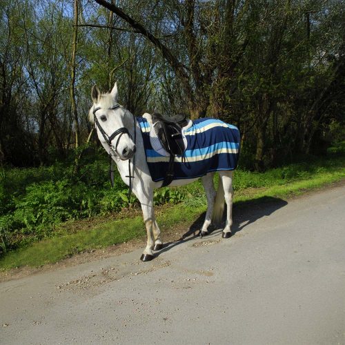 Rhinegold Fleece 3/4 Ride-On Rug - Horse Mad Store
