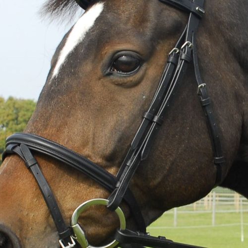 Heritage Saddlery English Leather Bridle With Flash Noseband - Horse Mad Store