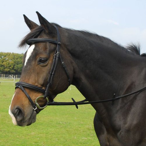 Heritage Saddlery English Leather Bridle With Flash Noseband - Horse Mad Store