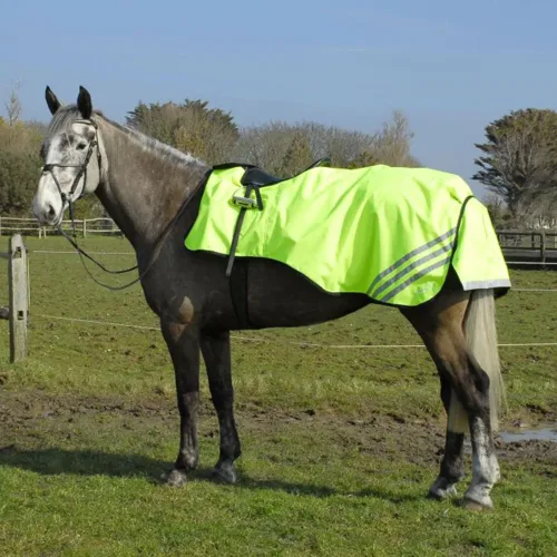 Rhinegold 3/4 Length Cutaway Design Waterproof Ride On Rug - Horse Mad Store
