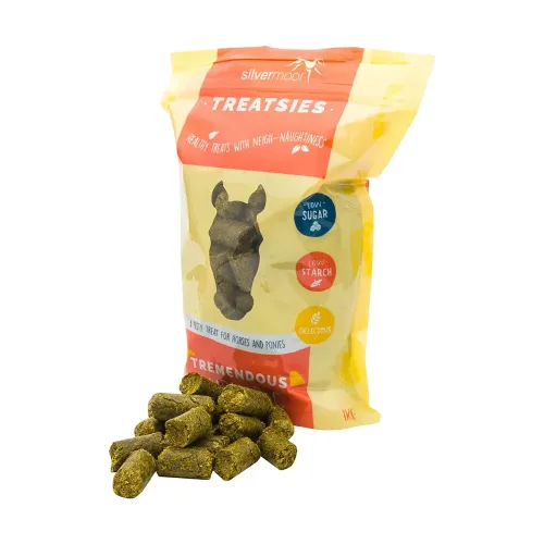 Silvermoor Treatsies Tumeric - Horse Mad Store