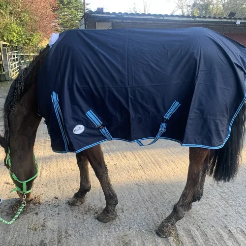 HMS Lightweight Turn Out Rug - Horse Mad Store