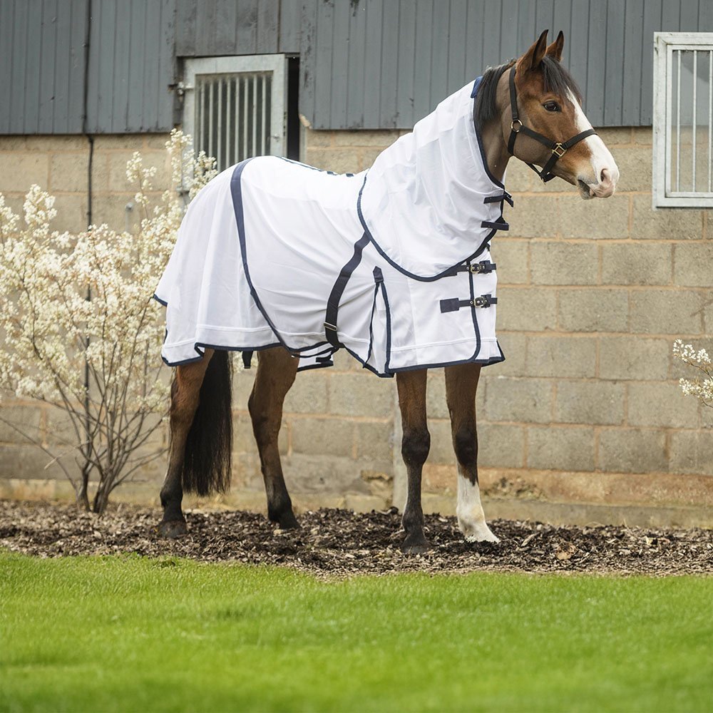 Rhinegold Fly Rug - Horse Mad Store