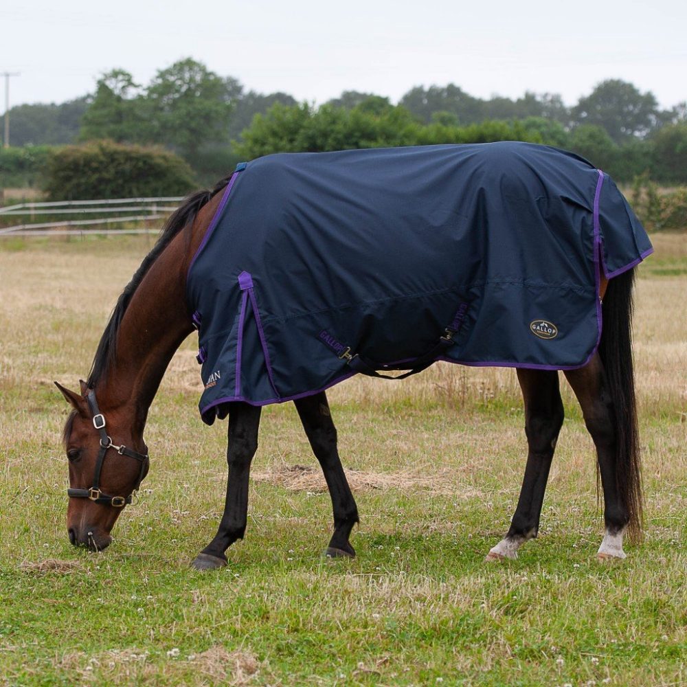 Trojan Lightweight Turnout Rug - Horse Mad Store