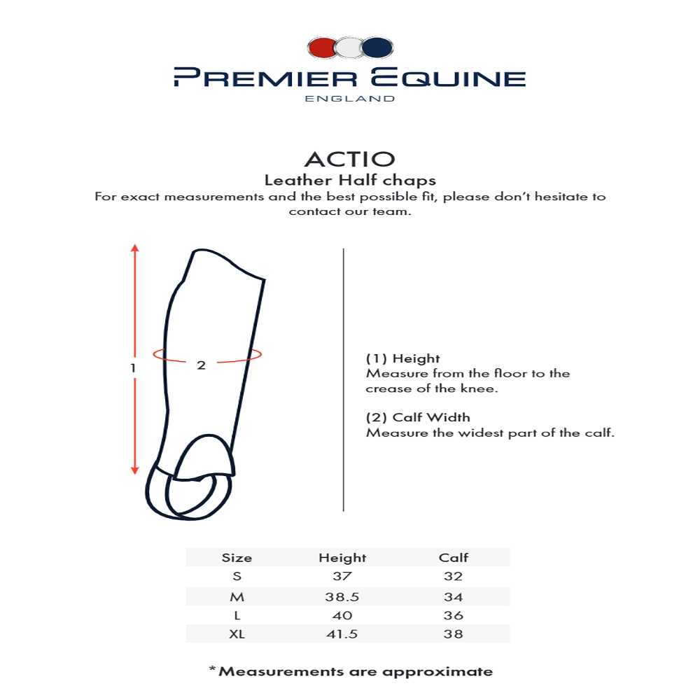 Premier Equine Actio Chaps - Adult - Image 6